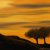 Digital Paintings