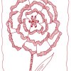 Incomplete Carnation