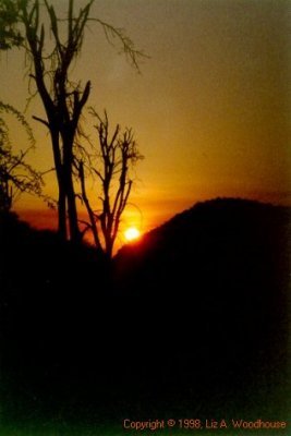 Sunset in Samburu