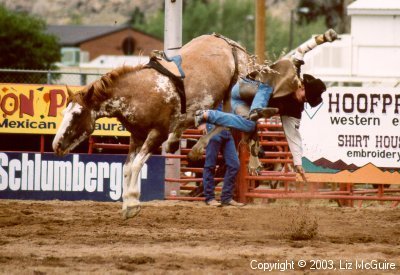 Horse 1, Cowboy 0