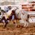 Rodeo