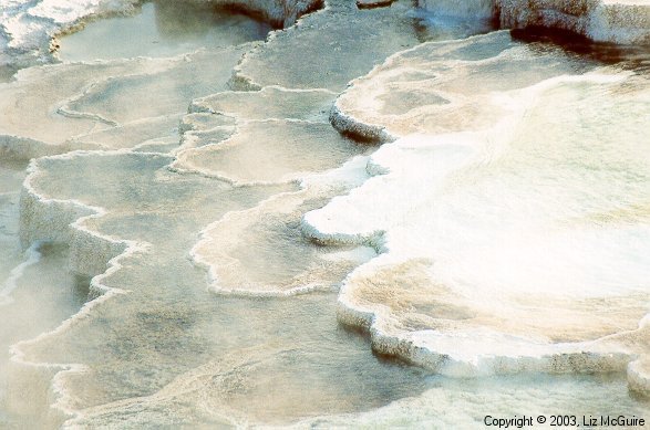 Hot Springs in Yellowstone National Park