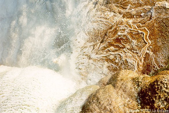 Hot Springs in Yellowstone National Park